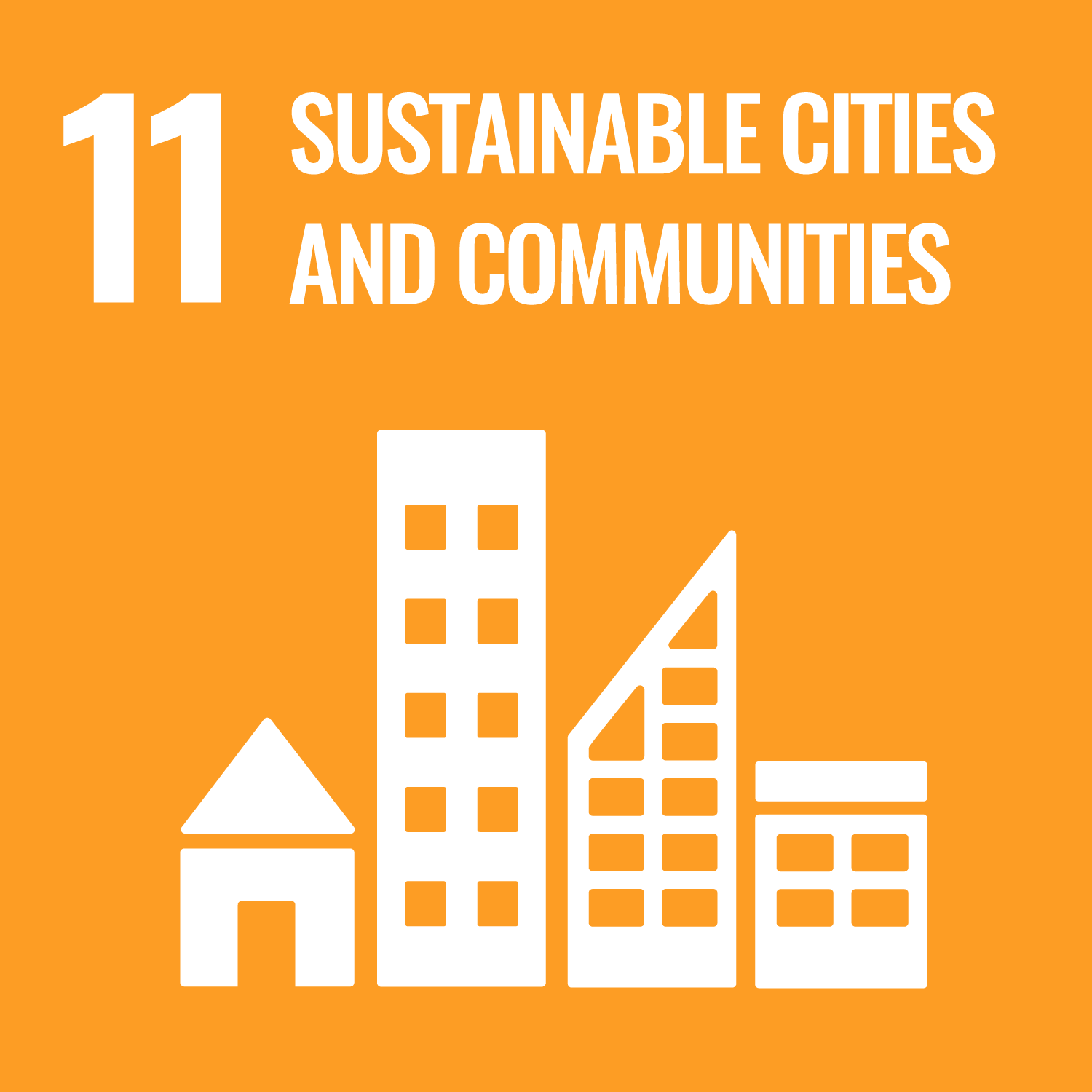 report on our progress and activities in support of the Sustainable Development Goals