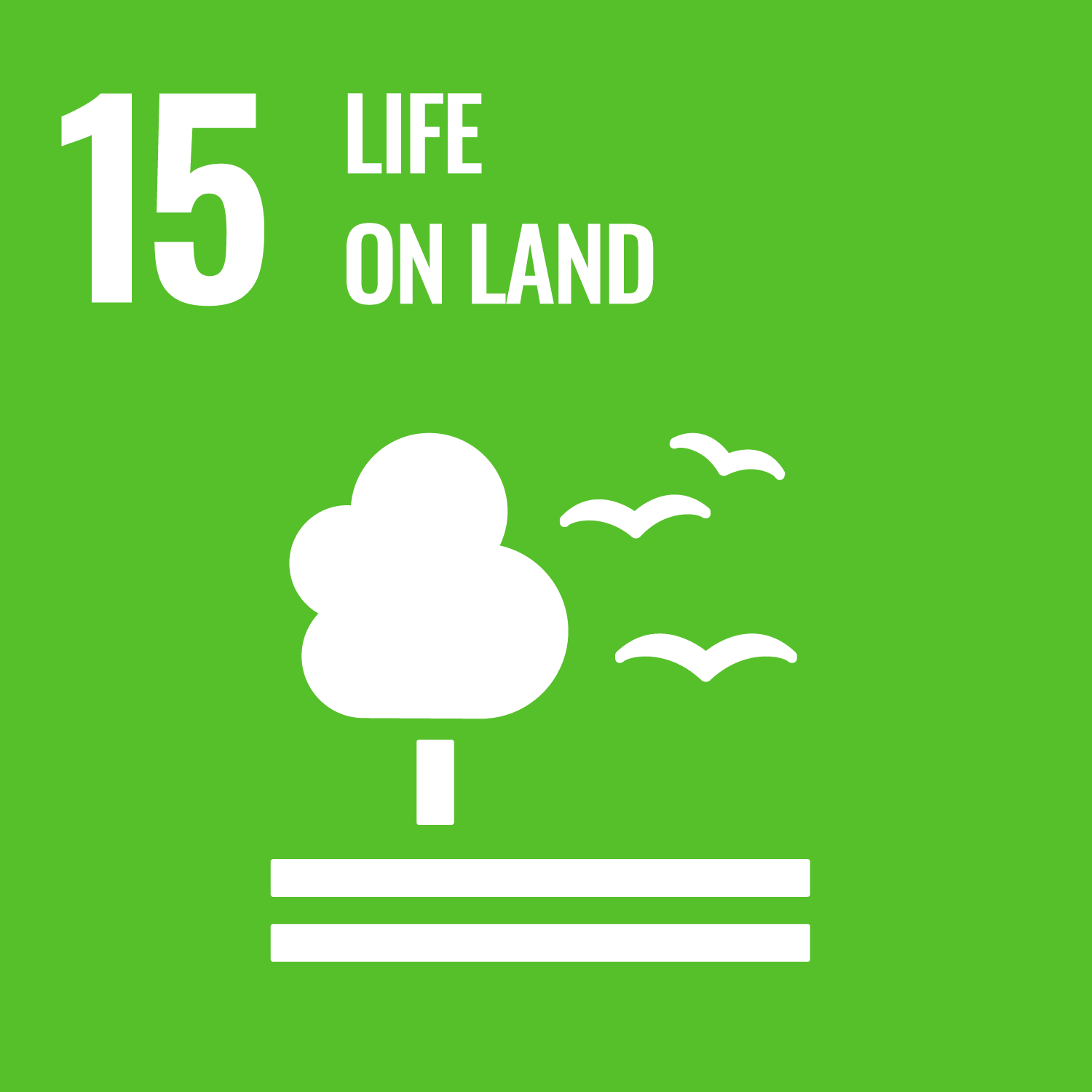 Through their teaching, schools are responsible for shaping values, behaviors, and the necessary leadership skills of students to help them build a sustainable future